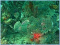 [Click to enlarge image]